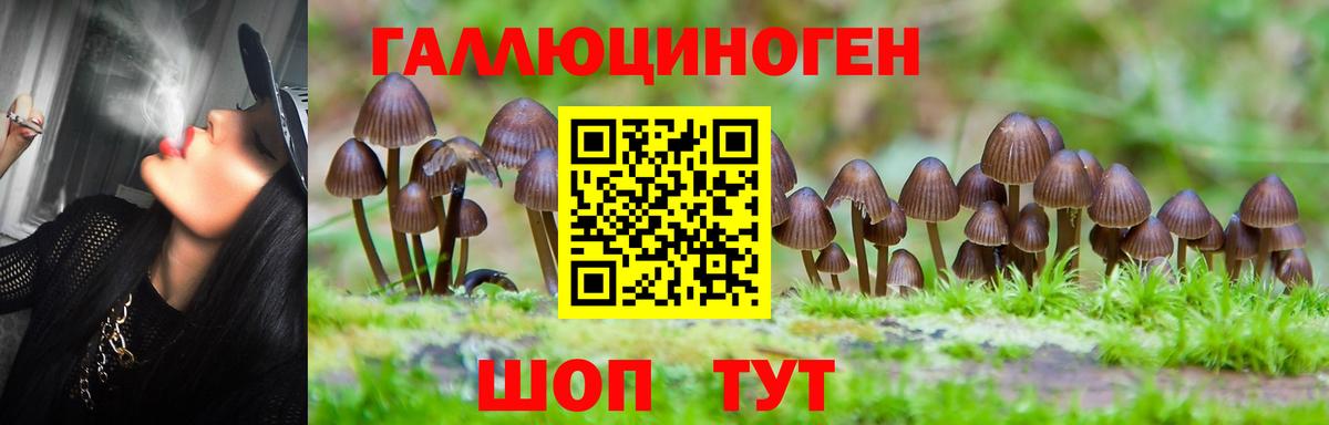 Галлюциногенные грибы GOLDEN TEACHER  Вход с VPN  Гагарин 